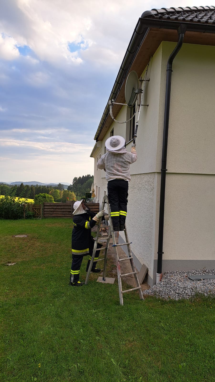 Einsatz Wespennest